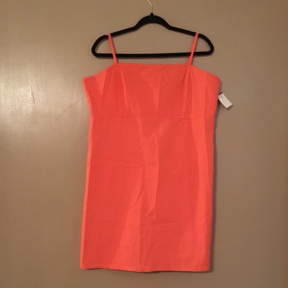 NWT wild fable dress